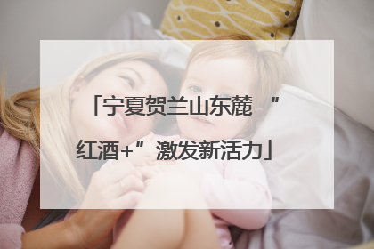 宁夏贺兰山东麓 “红酒+”激发新活力