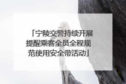 宁陵交警持续开展提醒乘客全员全程规范使用安全带活动