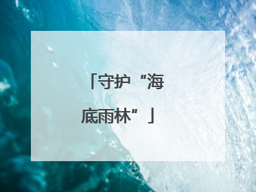 守护“海底雨林”