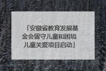 安徽省教育发展基金会留守儿童和困境儿童关爱项目启动