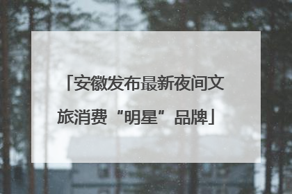 安徽发布最新夜间文旅消费“明星”品牌