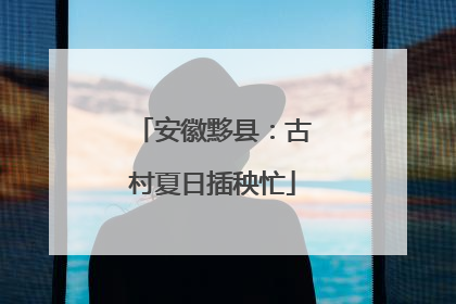 安徽黟县：古村夏日插秧忙