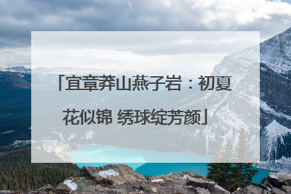 宜章莽山燕子岩：初夏花似锦 绣球绽芳颜
