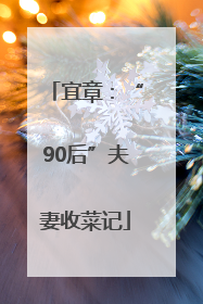 宜章：“90后”夫妻收菜记