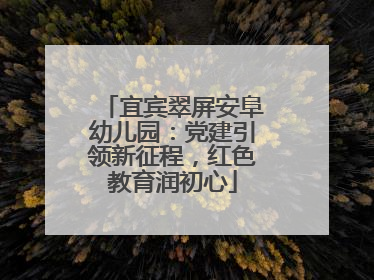 宜宾翠屏安阜幼儿园：党建引领新征程，红色教育润初心