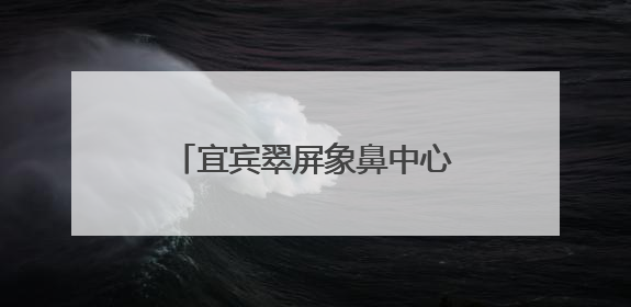 宜宾翠屏象鼻中心校：“幼芽”初探新枝，衔接共育未来