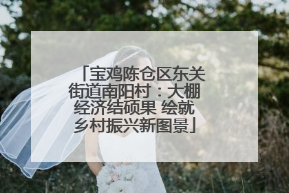 宝鸡陈仓区东关街道南阳村：大棚经济结硕果 绘就乡村振兴新图景