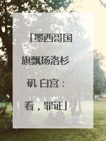 墨西哥国旗飘扬洛杉矶 白宫：看，罪证
