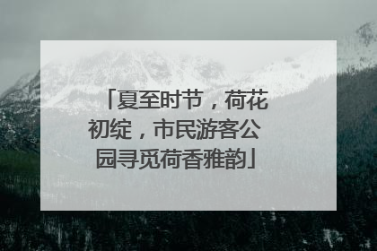 夏至时节，荷花初绽，市民游客公园寻觅荷香雅韵