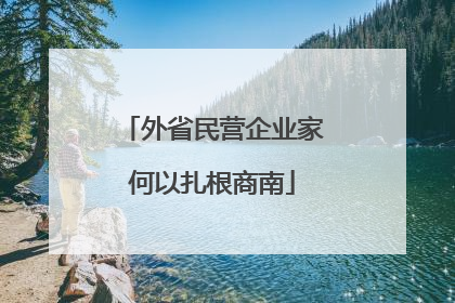 外省民营企业家何以扎根商南