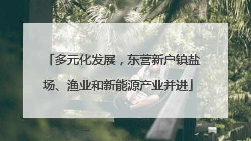 多元化发展，东营新户镇盐场、渔业和新能源产业并进