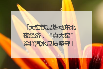 大窑饮品燃动东北夜经济，“真大窑”诠释汽水品质坚守