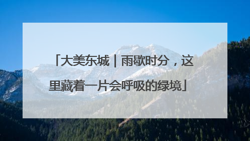 大美东城｜雨歇时分，这里藏着一片会呼吸的绿境