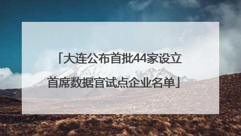 大连公布首批44家设立首席数据官试点企业名单