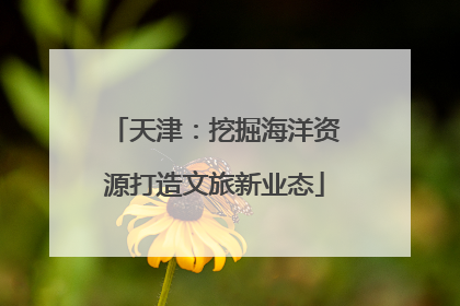 天津：挖掘海洋资源打造文旅新业态