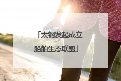 太钢发起成立船舶生态联盟