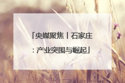 央媒聚焦丨石家庄：产业突围与崛起