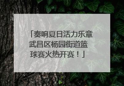 奏响夏日活力乐章 武昌区杨园街道篮球赛火热开赛！