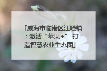 威海市临港区汪疃镇：激活“苹果+” 打造智慧农业生态圈