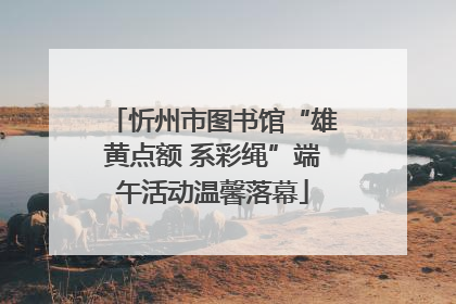 忻州市图书馆“雄黄点额 系彩绳”端午活动温馨落幕