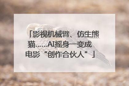 影视机械臂、仿生熊猫……AI摇身一变成电影“创作合伙人”