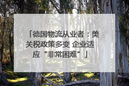 德国物流从业者：美关税政策多变 企业适应“非常困难”