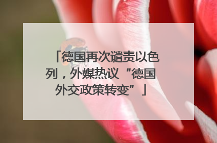 德国再次谴责以色列，外媒热议“德国外交政策转变”