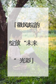 徽风皖韵绽放“未来”光彩
