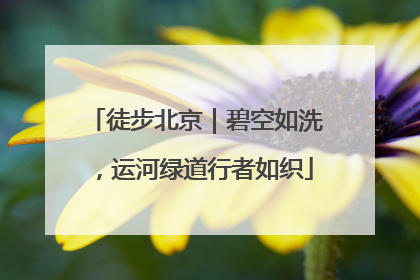 徒步北京｜碧空如洗，运河绿道行者如织