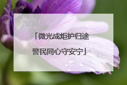 微光成炬护归途 警民同心守安宁