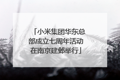 小米集团华东总部成立七周年活动在南京建邺举行