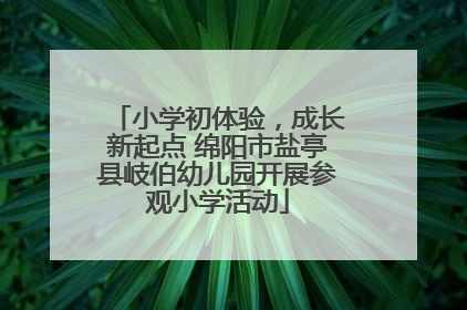 小学初体验，成长新起点 绵阳市盐亭县岐伯幼儿园开展参观小学活动