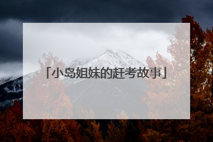 小岛姐妹的赶考故事