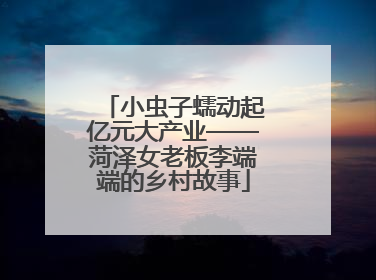 小虫子蠕动起亿元大产业——菏泽女老板李端端的乡村故事
