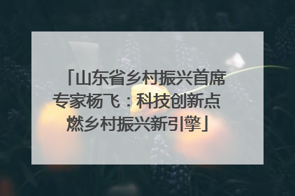 山东省乡村振兴首席专家杨飞：科技创新点燃乡村振兴新引擎