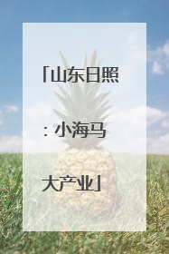 山东日照：小海马 大产业