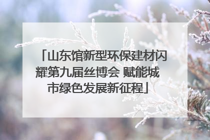 山东馆新型环保建材闪耀第九届丝博会 赋能城市绿色发展新征程