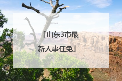 山东3市最新人事任免