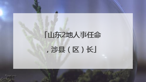 山东2地人事任命，涉县（区）长