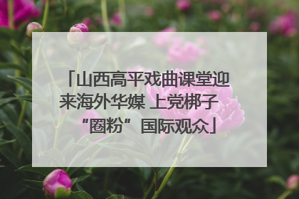 山西高平戏曲课堂迎来海外华媒 上党梆子“圈粉”国际观众