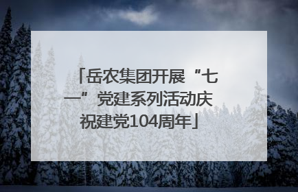 岳农集团开展“七一”党建系列活动庆祝建党104周年