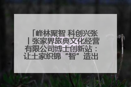峰林聚智 科创兴张丨张家界旅典文化经营有限公司博士创新站：让土家织锦“智”造出非遗新传奇