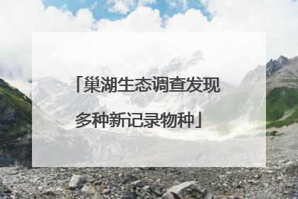 巢湖生态调查发现多种新记录物种