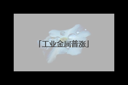 工业金属普涨