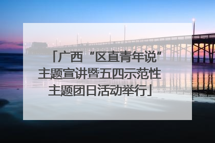 广西“区直青年说”主题宣讲暨五四示范性主题团日活动举行