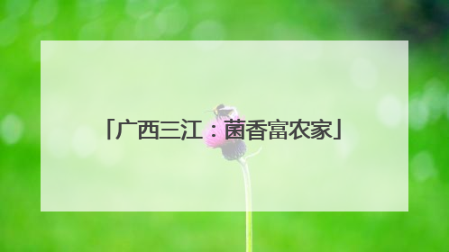 广西三江：菌香富农家