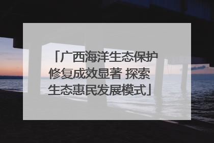 广西海洋生态保护修复成效显著 探索生态惠民发展模式
