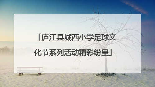 庐江县城西小学足球文化节系列活动精彩纷呈