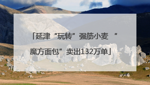 延津“玩转”强筋小麦 “魔方面包”卖出132万单