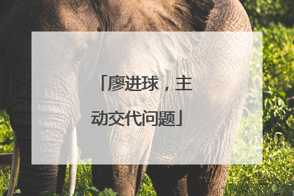 廖进球，主动交代问题